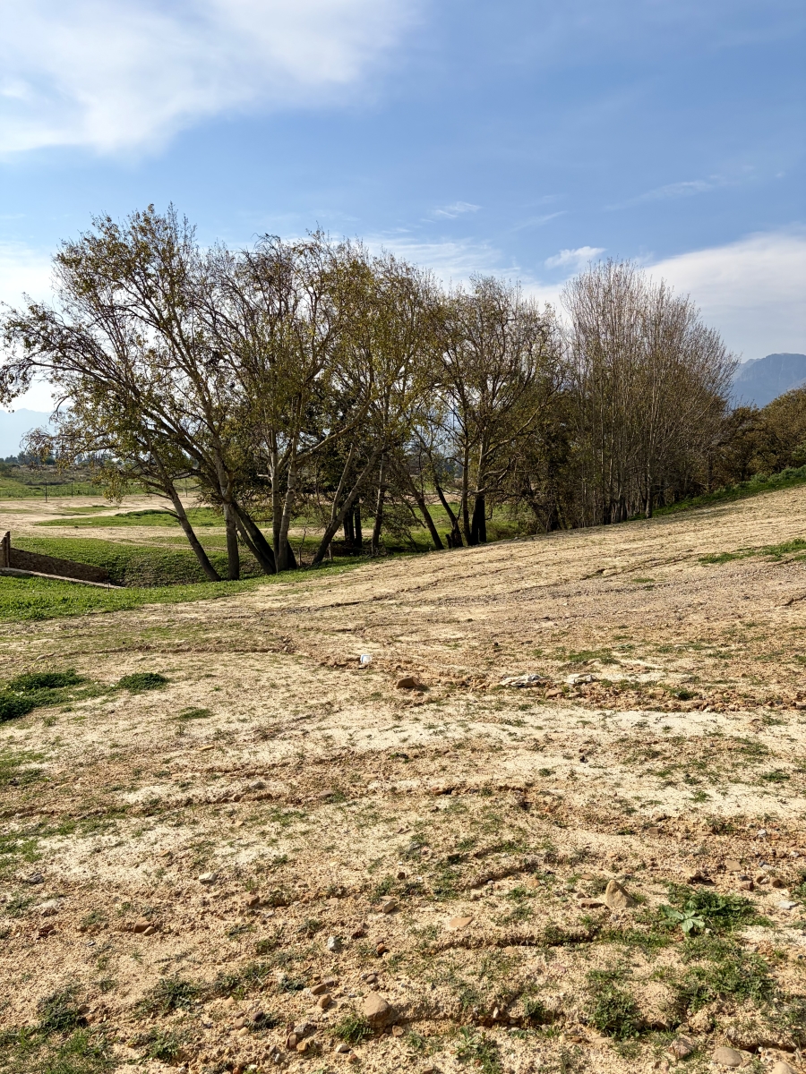 0 Bedroom Property for Sale in Paarl South Western Cape